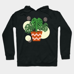 Monstera plant in the ceramic pot Hoodie